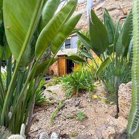 Finca Olaya