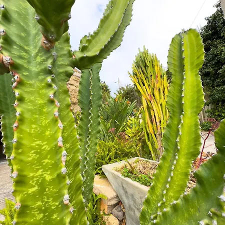 Finca Olaya *