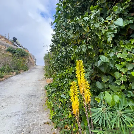 בית נופש Finca Olaya לאס וגאס