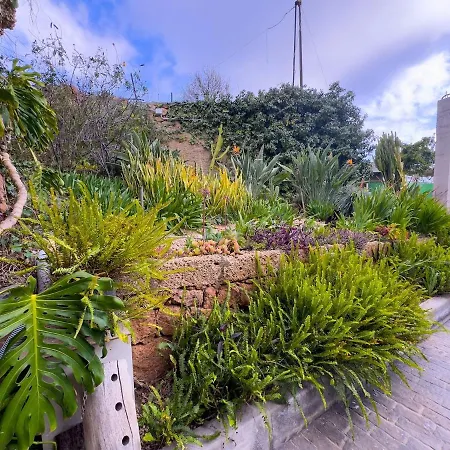 Finca Olaya